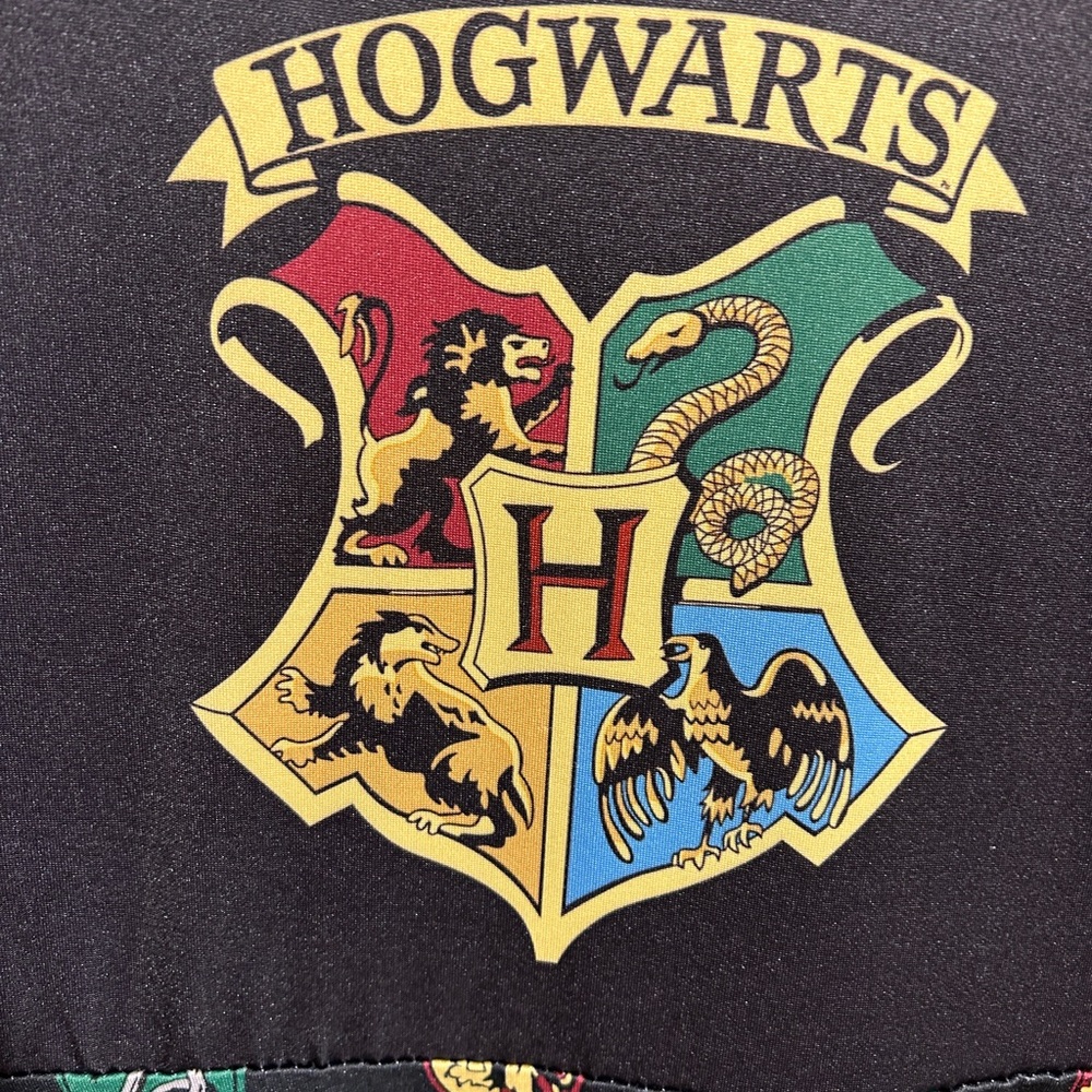 Harry Potter Women’s Dress (Size Large) - Picture 3 of 5